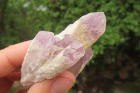 Natural Sugar Amethyst Quartz Clusters x 12 from Solwezi, Zambia