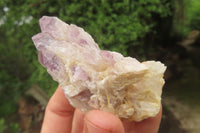 Natural Sugar Amethyst Quartz Clusters x 12 from Solwezi, Zambia