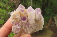 Natural Sugar Amethyst Quartz Clusters x 12 from Solwezi, Zambia