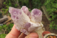 Natural Sugar Amethyst Quartz Clusters x 12 from Solwezi, Zambia