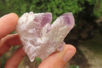 Natural Sugar Amethyst Quartz Clusters x 12 from Solwezi, Zambia