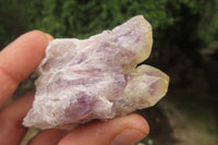 Natural Sugar Amethyst Quartz Clusters x 12 from Solwezi, Zambia