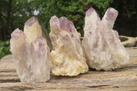 Natural Sugar Amethyst Quartz Clusters x 12 from Solwezi, Zambia