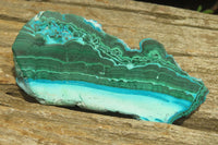 Polished Malacolla Slices x 6 From Kalukundi Mine, Congo