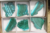 Polished Malacolla Slices x 6 From Kalukundi Mine, Congo