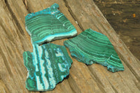 Polished Malacolla Slices x 6 From Kalukundi Mine, Congo