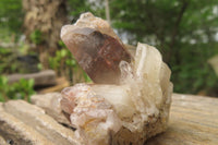 Natural Red Hematoid Quartz Clusters x 12 From Karoi, Zimbabwe