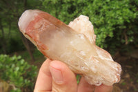 Natural Red Hematoid Quartz Clusters x 12 From Karoi, Zimbabwe