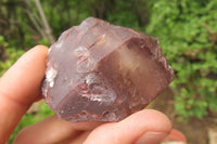 Natural Red Hematoid Quartz Clusters x 12 From Karoi, Zimbabwe