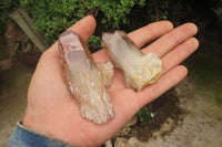 Natural Red Hematoid Quartz Clusters x 12 From Karoi, Zimbabwe