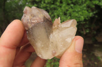 Natural Red Hematoid Quartz Clusters x 12 From Karoi, Zimbabwe