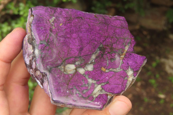 Polished On One Side Metallic Purpurite x 3 From Namibia