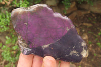 Polished On One Side Metallic Purpurite x 3 From Namibia