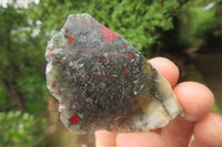 Natural Bloodstone Cobbed Specimens x 2 Kg Lot From Swaziland