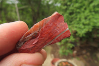 Natural Bloodstone Cobbed Specimens x 2 Kg Lot From Swaziland