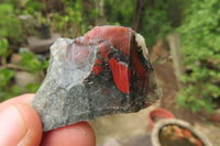 Natural Bloodstone Cobbed Specimens x 2 Kg Lot From Swaziland