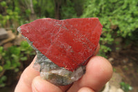 Natural Bloodstone Cobbed Specimens x 2 Kg Lot From Swaziland