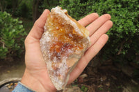 Natural Limonite Quartz Geode Specimens x 4 From Zambia