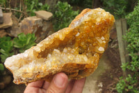 Natural Limonite Quartz Geode Specimens x 4 From Zambia