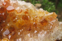 Natural Limonite Quartz Geode Specimens x 4 From Zambia