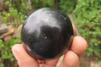 Polished Black Basalt Palm Stones x 12 From Antsirabe, Madagascar