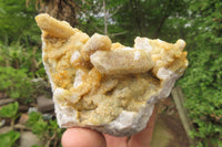 Natural Limonite Spirit Quartz Clusters x 10 From Boekenhouthoek, South Africa