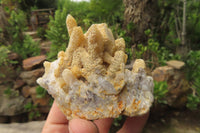 Natural Limonite Spirit Quartz Clusters x 10 From Boekenhouthoek, South Africa