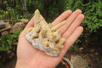 Natural Limonite Spirit Quartz Clusters x 10 From Boekenhouthoek, South Africa