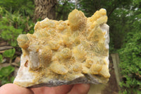 Natural Limonite Spirit Quartz Clusters x 10 From Boekenhouthoek, South Africa