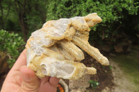 Natural Limonite Spirit Quartz Clusters x 10 From Boekenhouthoek, South Africa