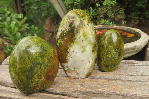 Polished Green Opal Standing Free Forms x 3 From Antsirabe, Madagascar