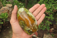 Polished Green Opal Standing Free Forms x 3 From Antsirabe, Madagascar