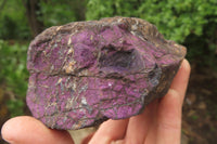 Natural Metallic Purpurite Specimens x 2 From Namibia