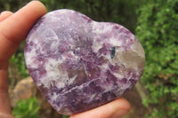 Polished Lepidolite Gemstone Hearts x 6 From Madagascar