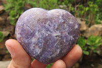 Polished Lepidolite Gemstone Hearts x 6 From Madagascar