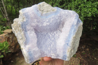 Natural Blue Lace Agate Geode Specimen x 1 From Malawi