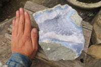 Natural Blue Lace Agate Geode Specimen x 1 From Malawi