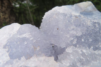 Natural Blue Lace Agate Geode Specimen x 1 From Malawi