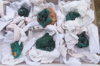 Natural Dioptase On Dolomite Specimens x 6 From Likasi, Congo