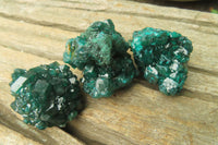 Natural Dioptase On Dolomite Specimens x 6 From Likasi, Congo