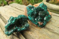 Natural Dioptase On Dolomite Specimens x 6 From Likasi, Congo