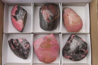 Polished On One Side Rhodonite x 6 From Madagascar