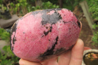 Polished On One Side Rhodonite x 6 From Madagascar