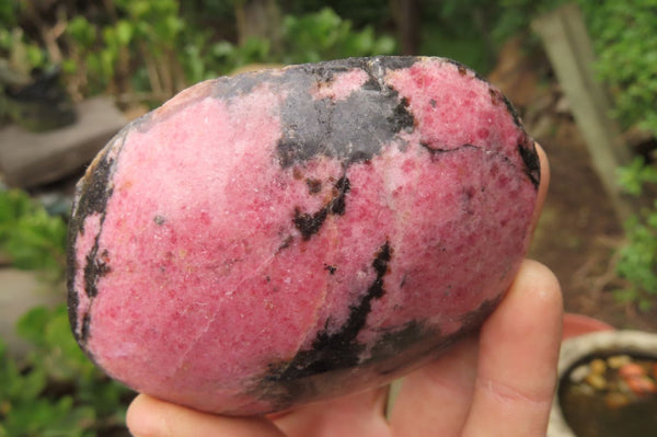 Polished On One Side Rhodonite x 6 From Madagascar