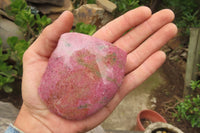 Polished On One Side Rhodonite x 6 From Madagascar