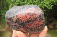 Polished On One Side Rhodonite x 6 From Madagascar