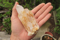 Natural Pineapple Candle Quartz Clusters x 6 From Antsirabe, Madagascar