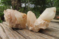 Natural Pineapple Candle Quartz Clusters x 6 From Antsirabe, Madagascar