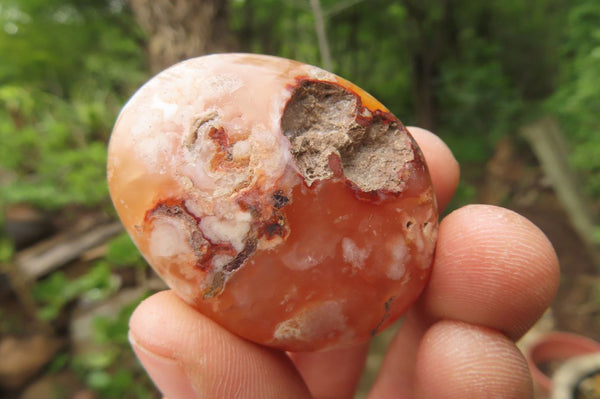 Polished Flower Agate Palm Stones x 24 From Madagascar