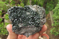 Natural Libethenite Crystals On Dolomite Matrix Specimens x 3 From Shituru, Congo